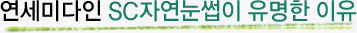 연세미다인 SC자연눈썹이 유명한 이유