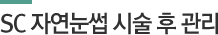 SC 자연눈썹 시술 후 관리