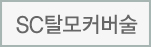 SC탈모커버술