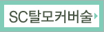 SC탈모커버술