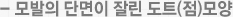 - 모발의 단면이 잘린 도트(점)모양